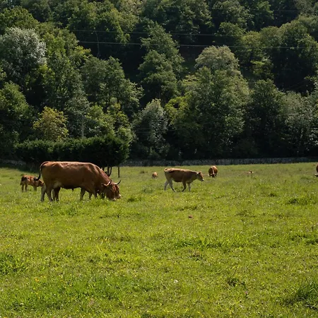 Oda ve Kahvaltı Rural Sucuevas 3*